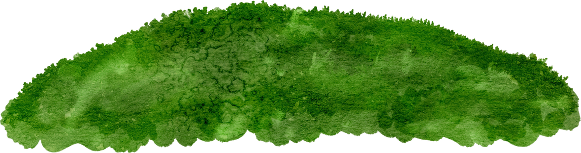 Watercolor green moss