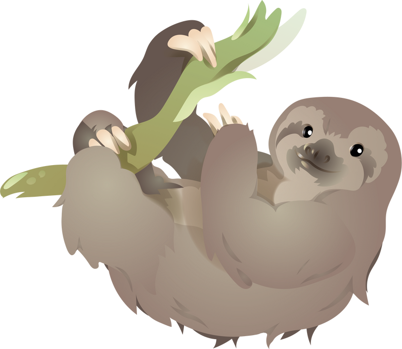 Cute Cartoon Sloth