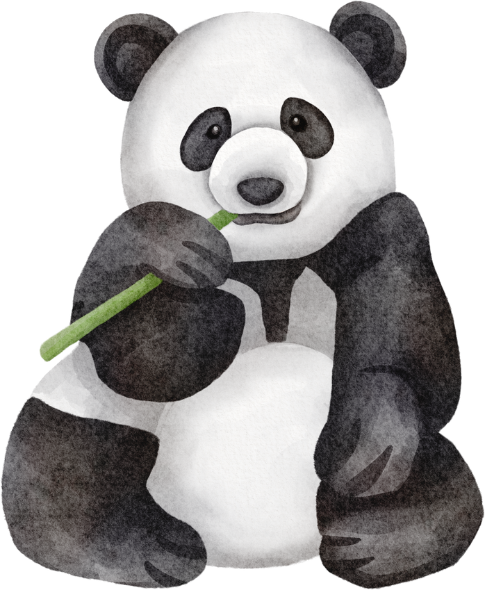 panda