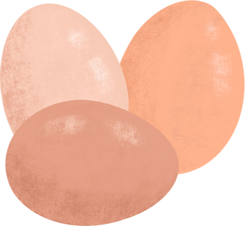 Chicken eggs illustration